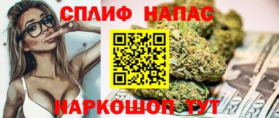 спиды Пугачёв