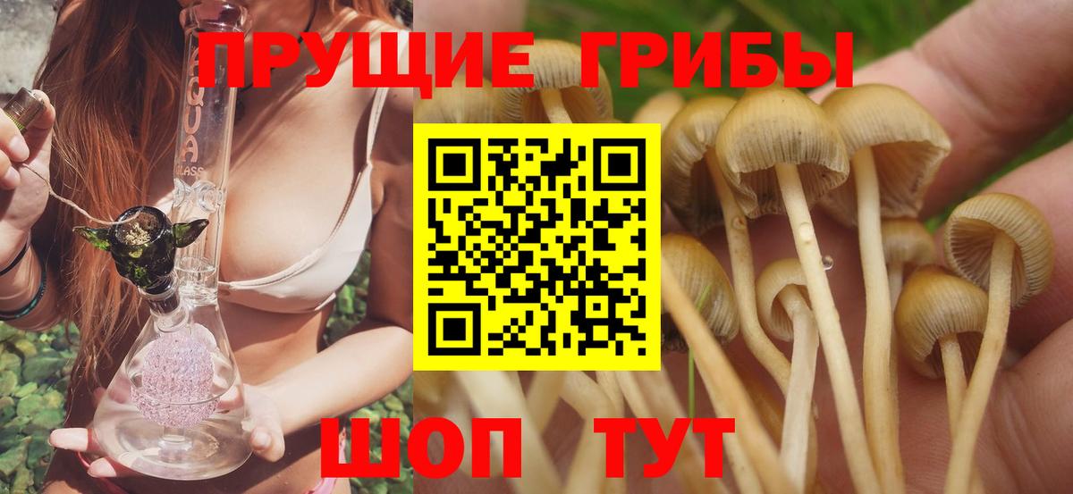 Ртищево  Галлюциногенные грибы мицелий  Вход с VPN  Псилоцибиновые грибы Psilocybine cubensis 